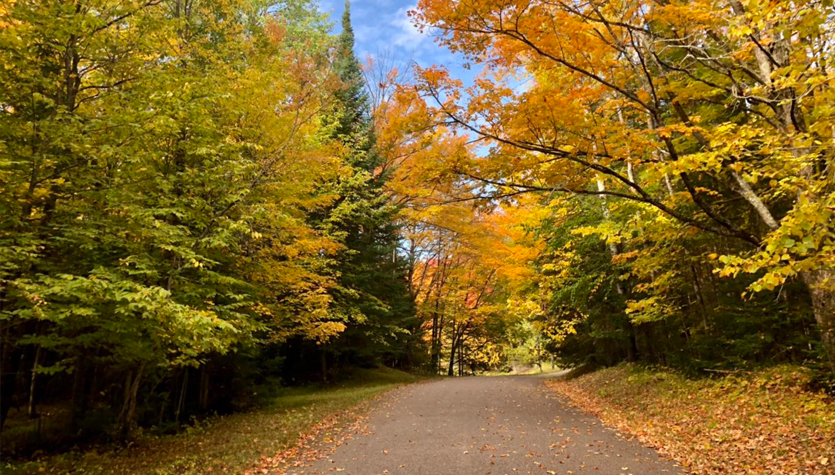 Bike trail surrounded by autumn foliage.