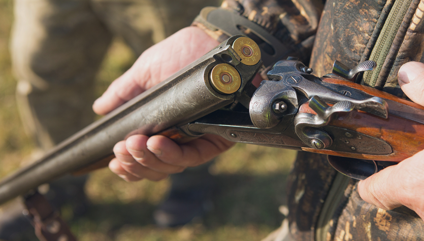 View of loaded shotgun barrels.
